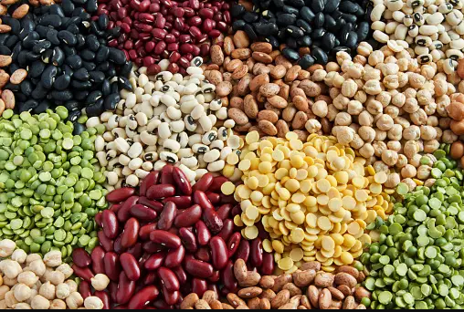 “Government Implements Stricter Measures to Prevent Hoarding of Pulses”
