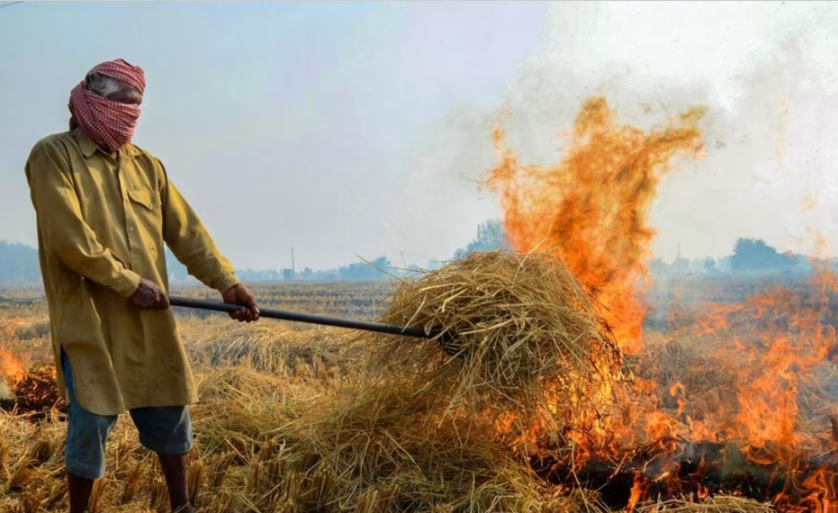 Delhi Faces Air Quality Concerns Due to Agricultural Fires