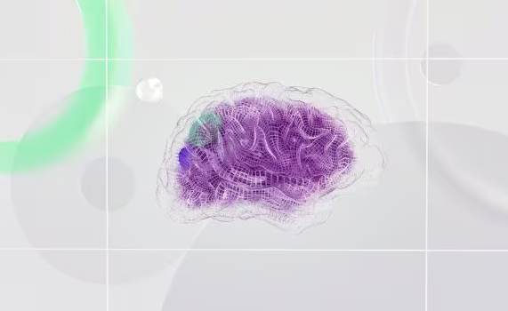 AI System Spontaneously Adapts to Resemble the Human Brain in Research Study