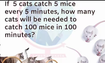 Can you solve this brain teaser involving a cat and a mouse?
