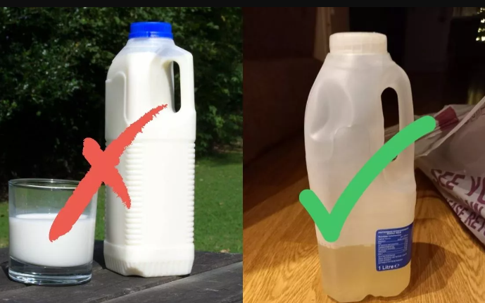 Man Orders Milk Online, Receives a Bottle Filled with Urine