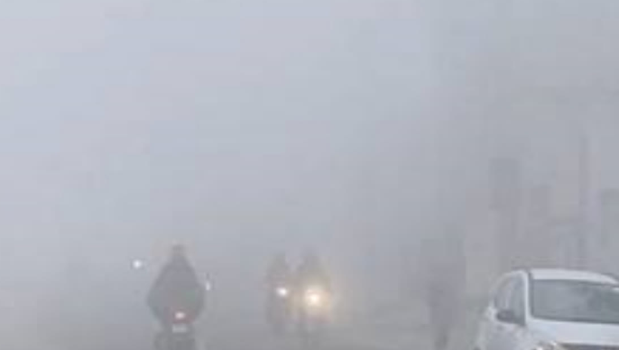 IMD Warns of Cold Wave in Delhi; Dense Fog Expected Over the Next 2 Days.